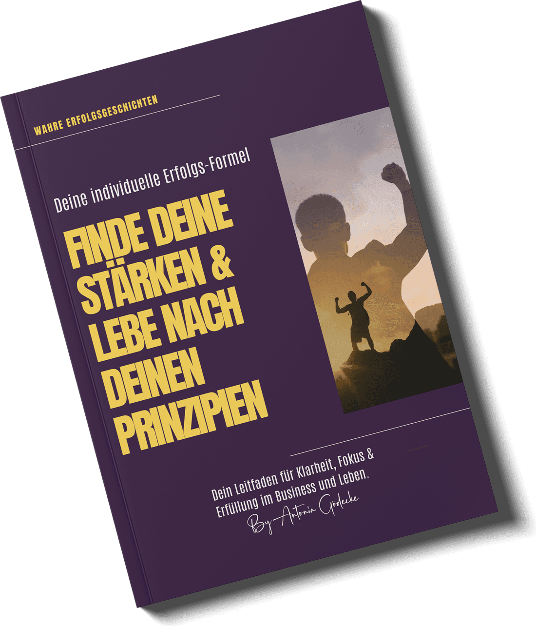 Das Workbook „Finde deine Stärken & lebe nach deinen Prinzipien"